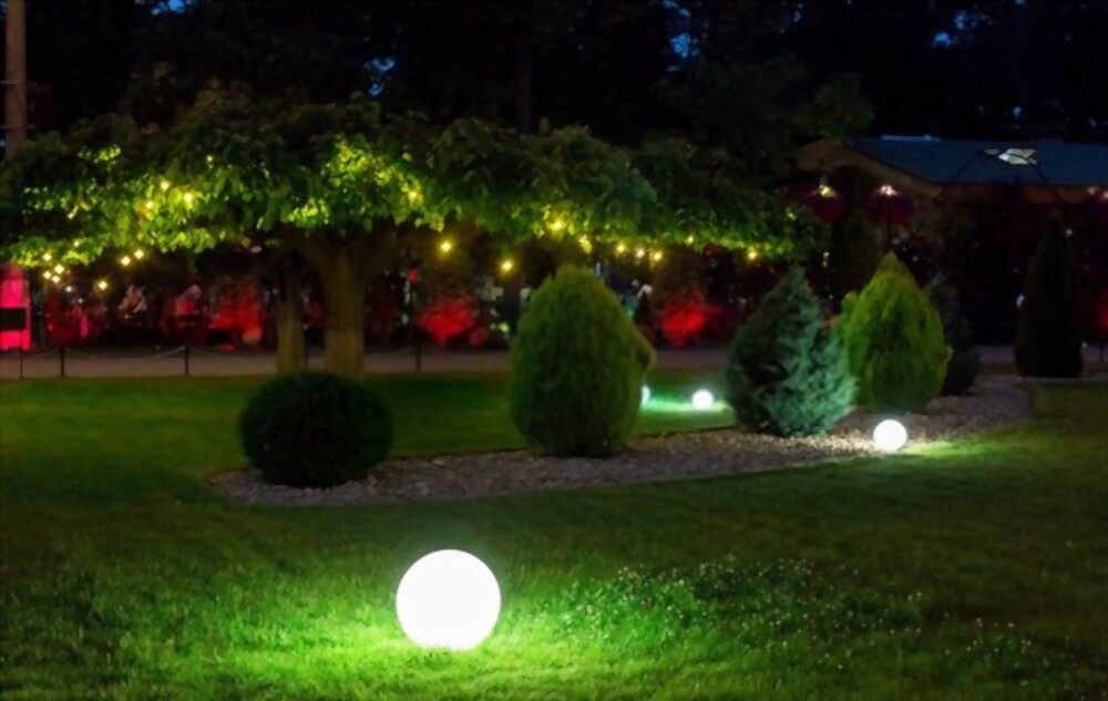 Lighting Up Your Landscape: The Benefits of Professional Installation