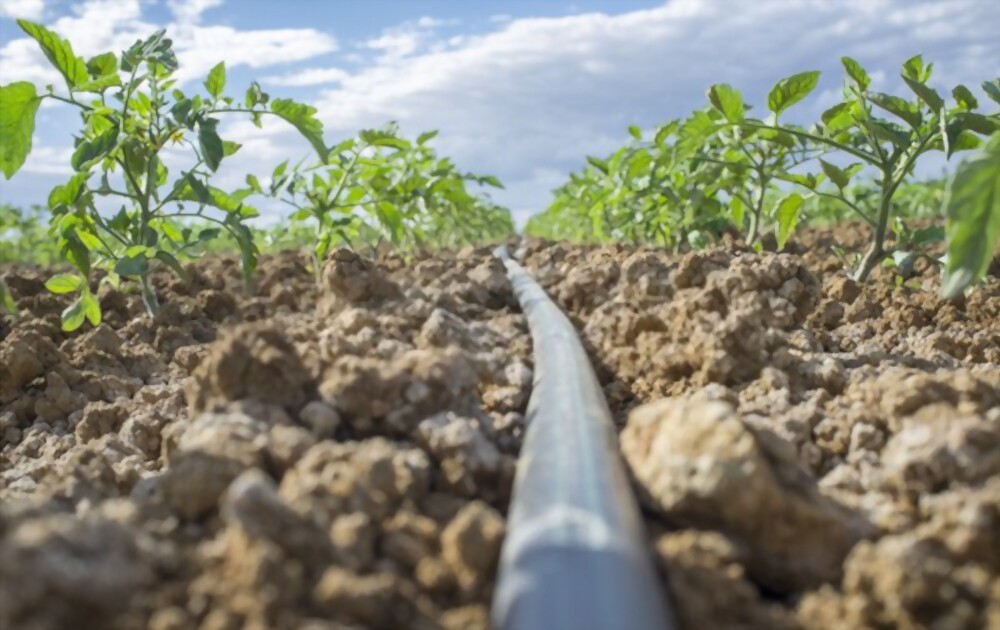 drip irrigation systems in Austin