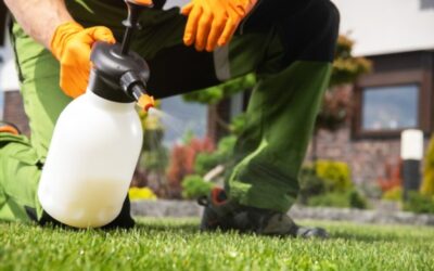 Winning the Battle Against Weeds!