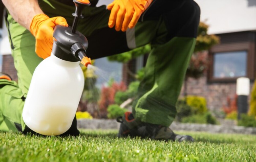 Winning the Battle Against Weeds!