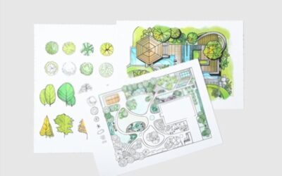 Landscape Design: Sharp, Round & Cuddly Textures in Austin