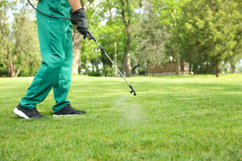 Progreen Landscape Solutions helps with controlling armyworms in Austin, Cedar Park, and Round Rock, TX