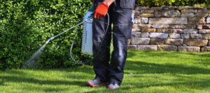 the bottom half of lawn worker spraying post emergents on the lawn