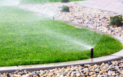 6 Irrigation Myths Debunked