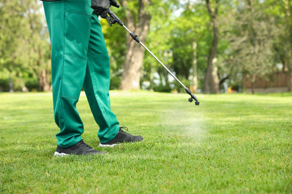 lawn tech treating a lawn with spray