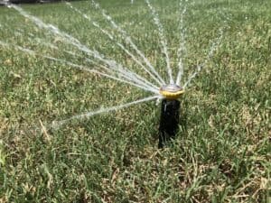 Sprinkler in Austin lawn