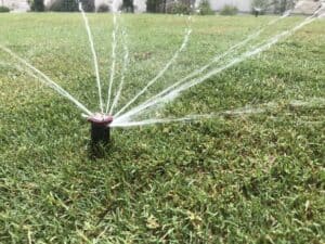 Sprinkler in Austin lawn
