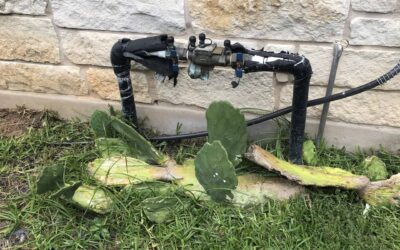 Why You Should Schedule an Irrigation Inspection