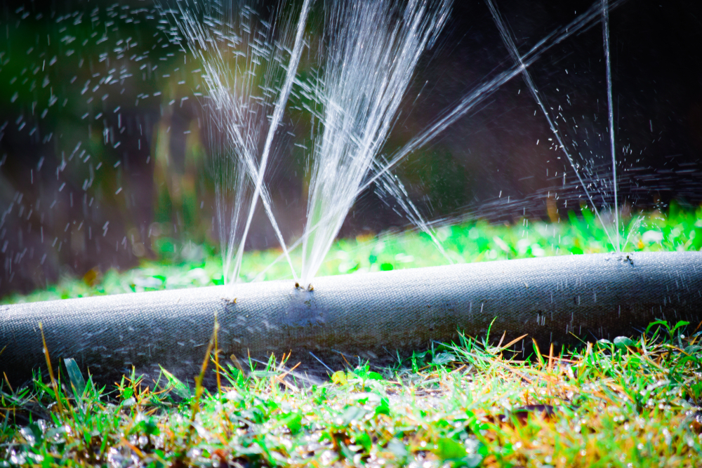 a rather obvious irrigation leak