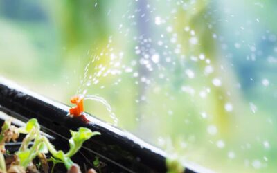 Upgrading Your Irrigation System: When to Consider a Change