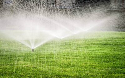 Irrigation Repairs 101: Five Signs Your Irrigation System Might Be Leaking