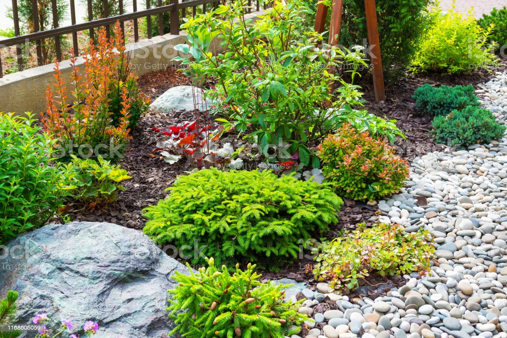 Want to add some color to your landscape design in Austin, Round Rock, Cedar Park, or Leander? Progreen Landscape Solutions can help!