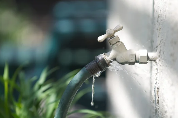 Water coming out of sprinkler head? Call Pro Green experts for irrigation system service in Austin, Dallas, or Fort Worth, Texas