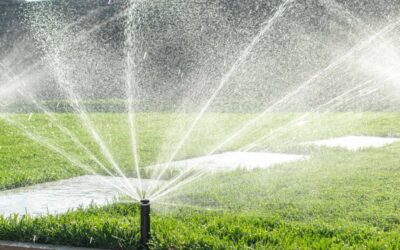 How to Set Up a Watering Schedule with Your New Sprinkler System