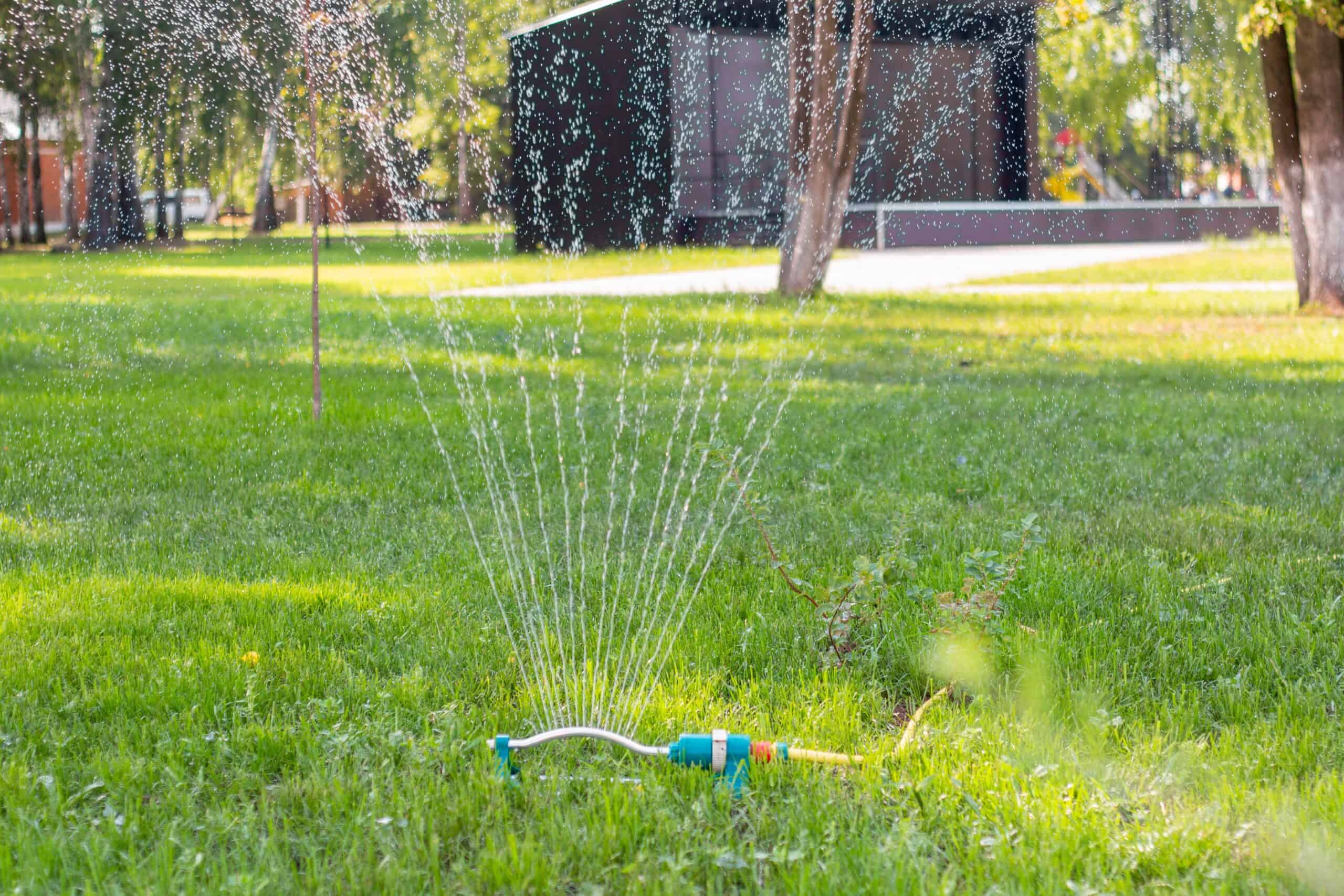 a small blue lawn sprinkler spraying water in a yard