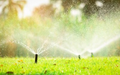 Efficient Watering Practices in Austin, TX: Adapting Your Sprinkler System to Local Guidelines