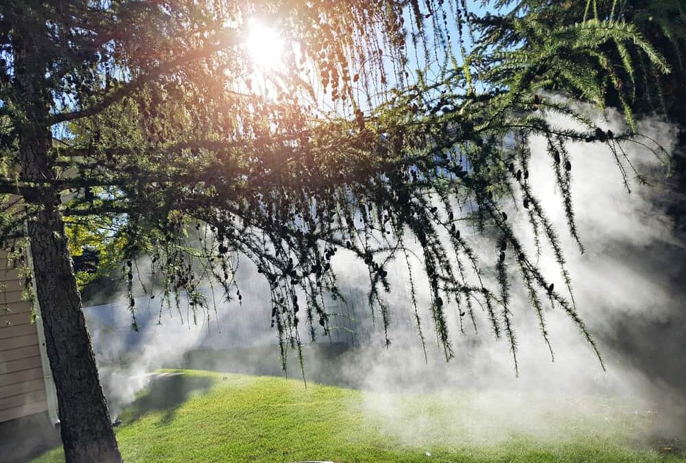 How to Choose a Reliable Irrigation Winterization Service Provider in Austin, TX