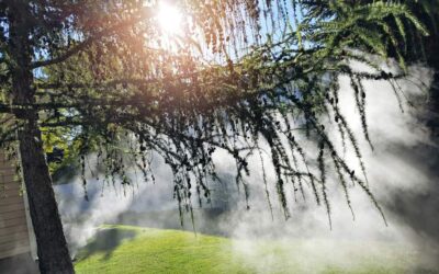 How to Choose a Reliable Irrigation Winterization Service Provider in Austin, TX
