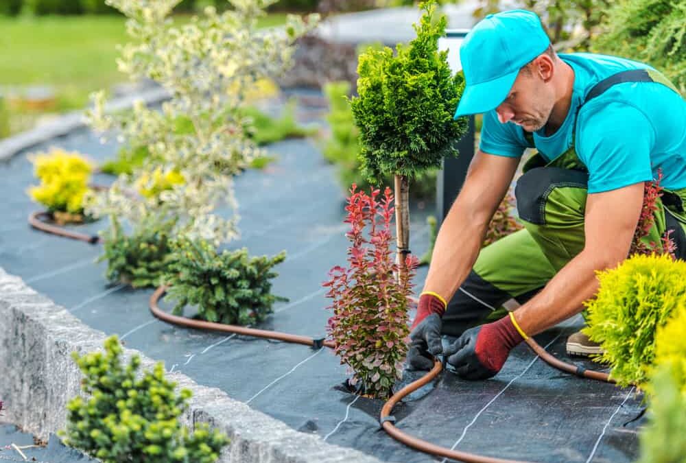 The Importance of Hiring Professionals for Irrigation Repair