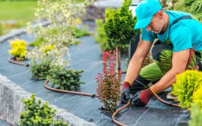 The Importance of Hiring Professionals for Irrigation Repair
