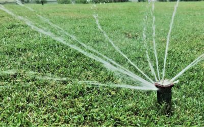 A Comprehensive Guide to Choosing the Best Sprinkler System for Austin’s Climate