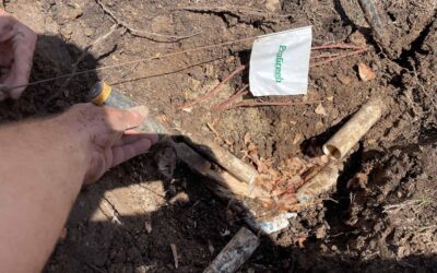 Why Hiring Experts for Irrigation Repairs Is Essential