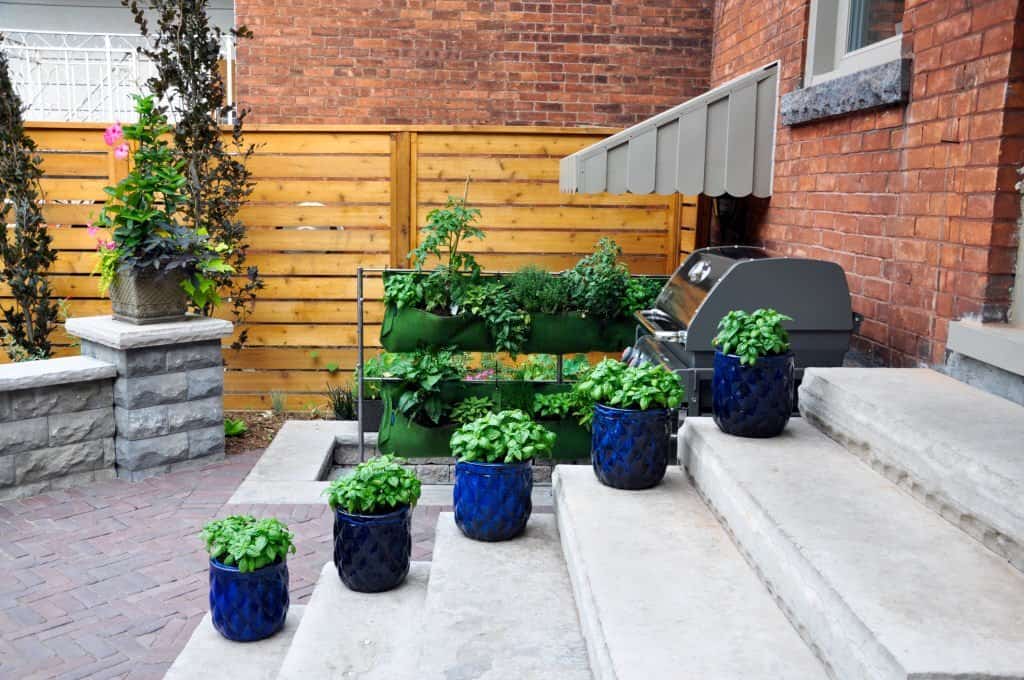 Use innovative techniques to ensure thriving outdoor living spaces