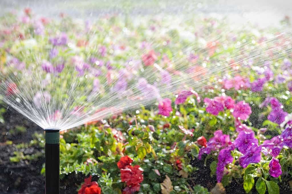 Lakeway’s top irrigation team provides sprinkler repair and outdoor living spaces<br />
