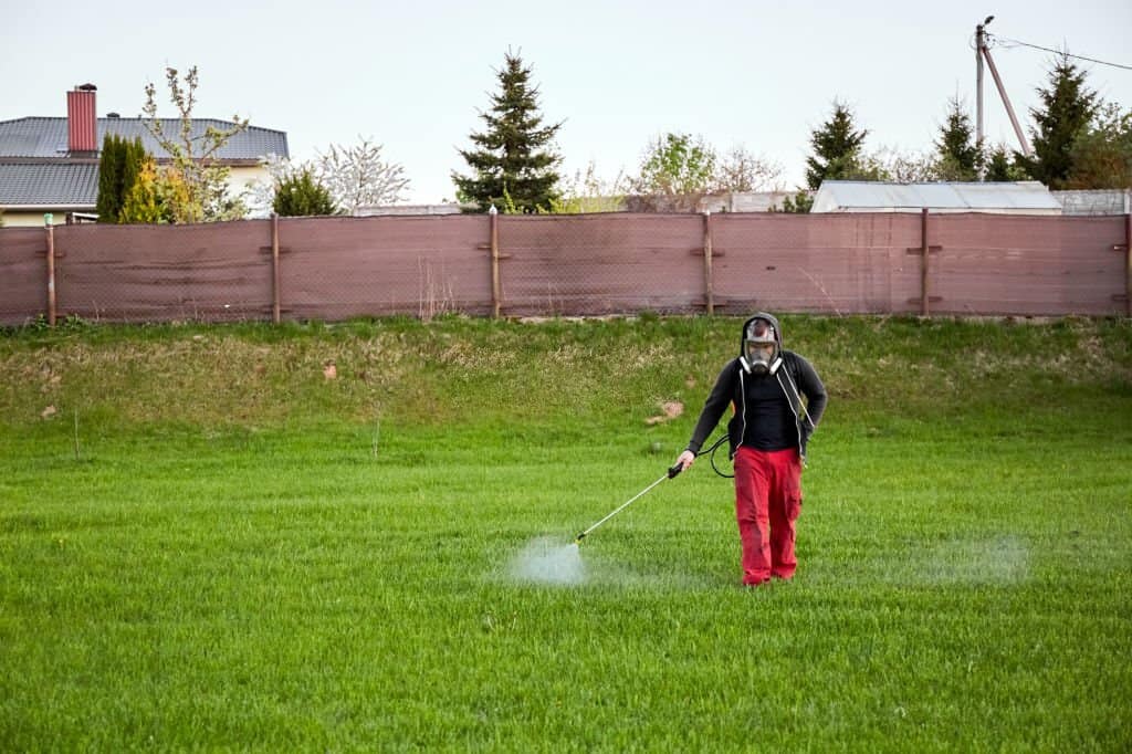 how to schedule fertilizer and weed control for Austin, Round Rock, and Cedar Park homes<br />
