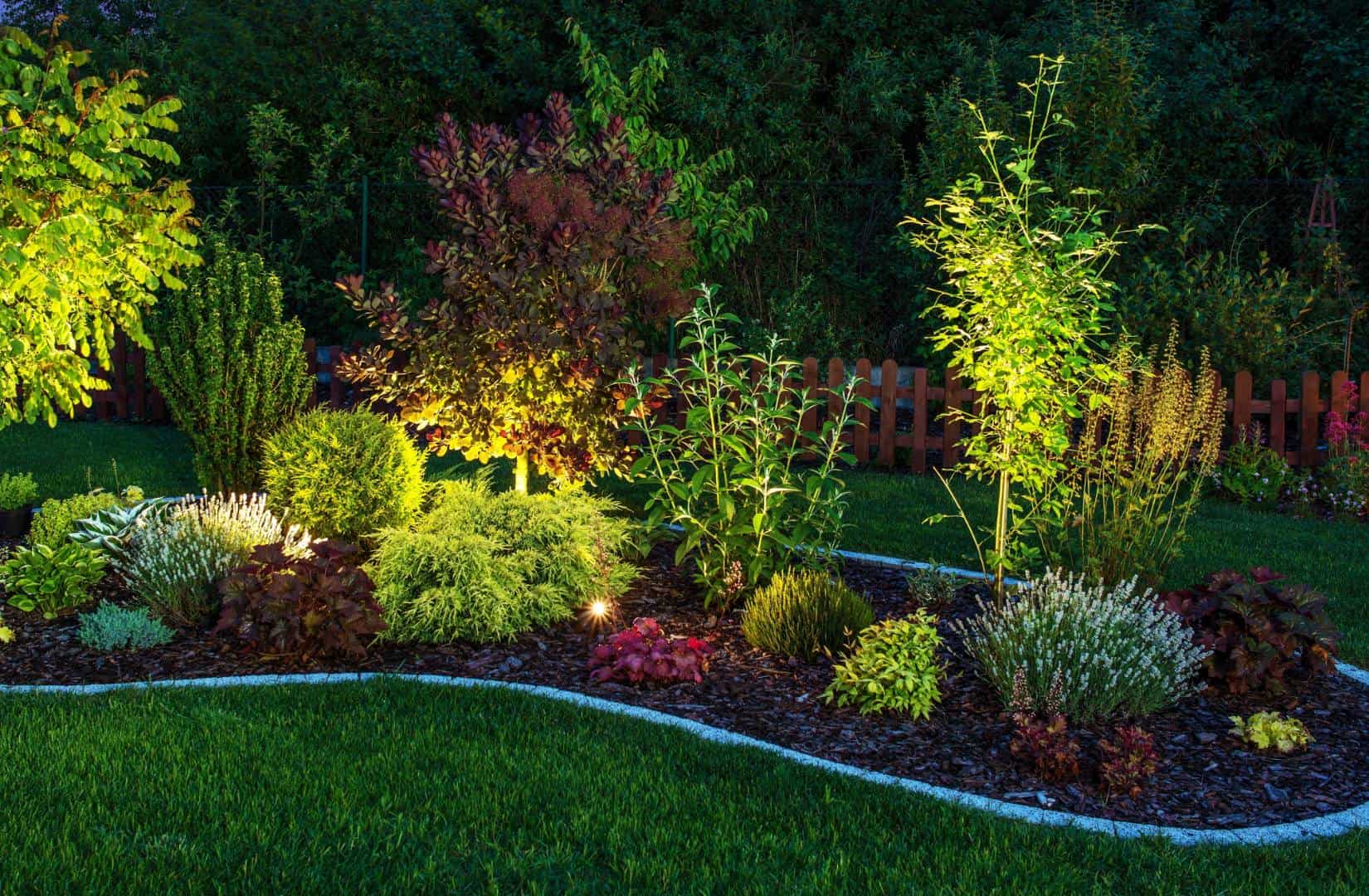 Austin, Round Rock, and Cedar Park landscape lighting solutions