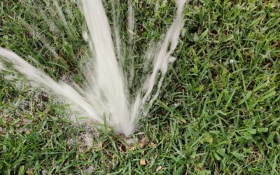 3 Common Sprinkler Issues | Telling Signs and Advice on How to Fix Your Sprinkler