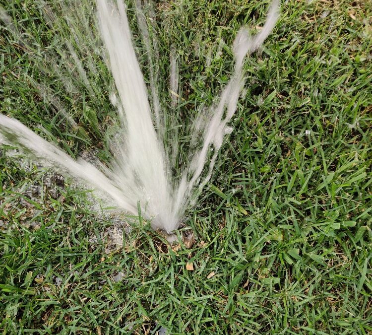 3 Common Sprinkler Issues | Telling Signs and Advice on How to Fix Your Sprinkler