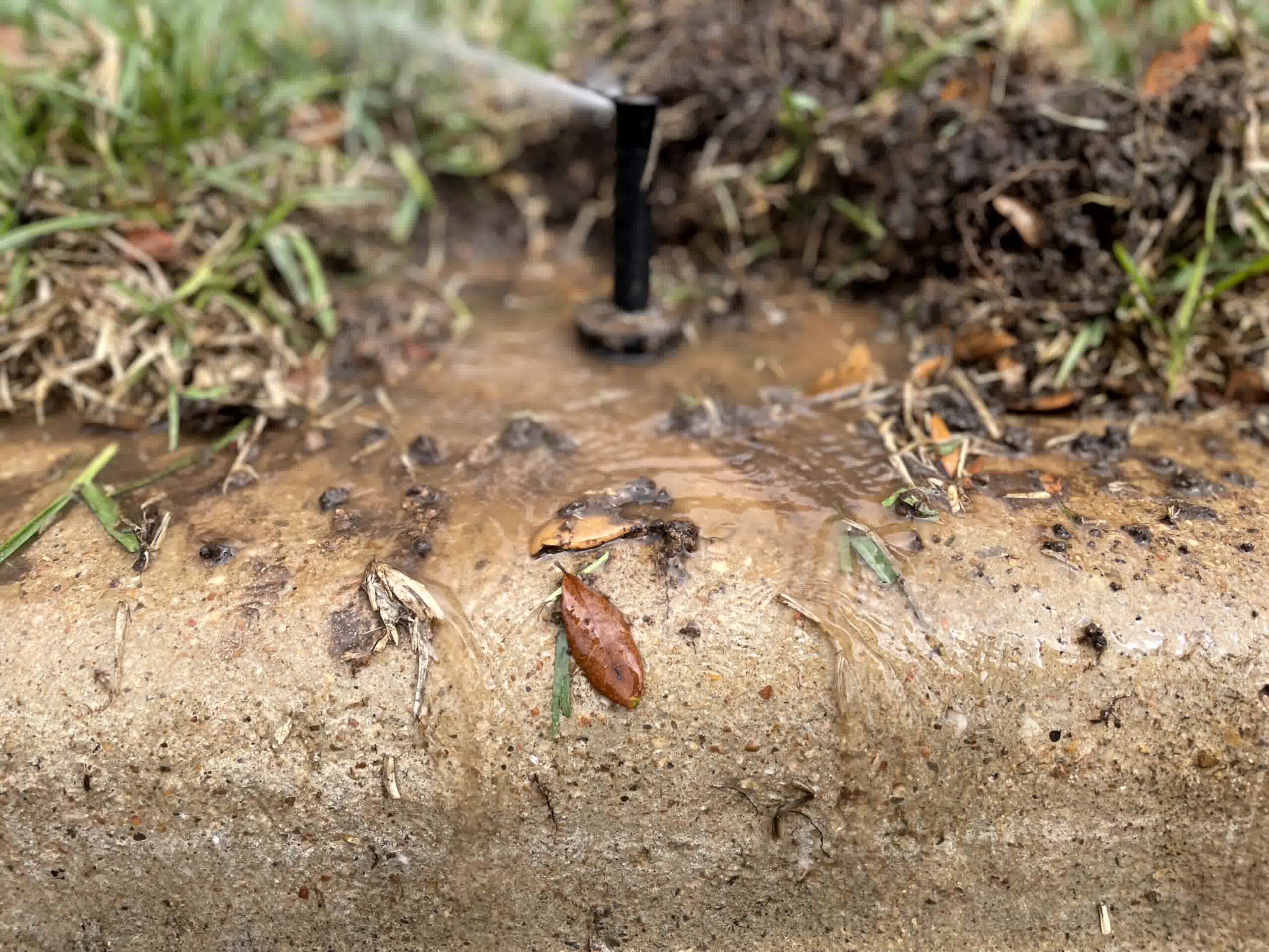 After getting down in the dirt, you can rely on a proper irrigation system.