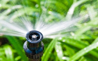 How Often Should You Run Your Sprinkler System Each Week?