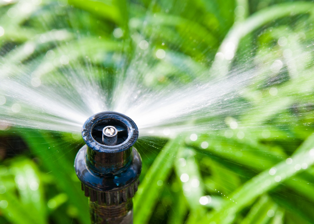 Up close shot of a working sprinkler system.