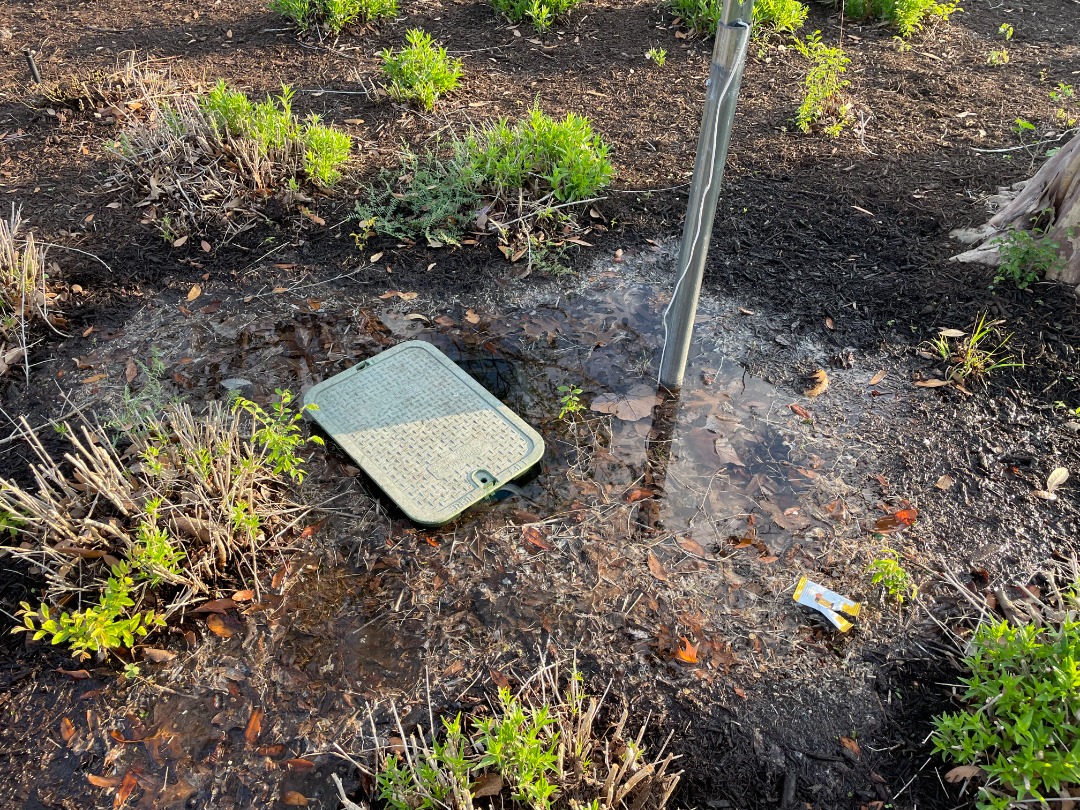 Water leak pooling around an irrigation valve box in a garden bed, indicating a broken pipe or faulty connection needing repair.