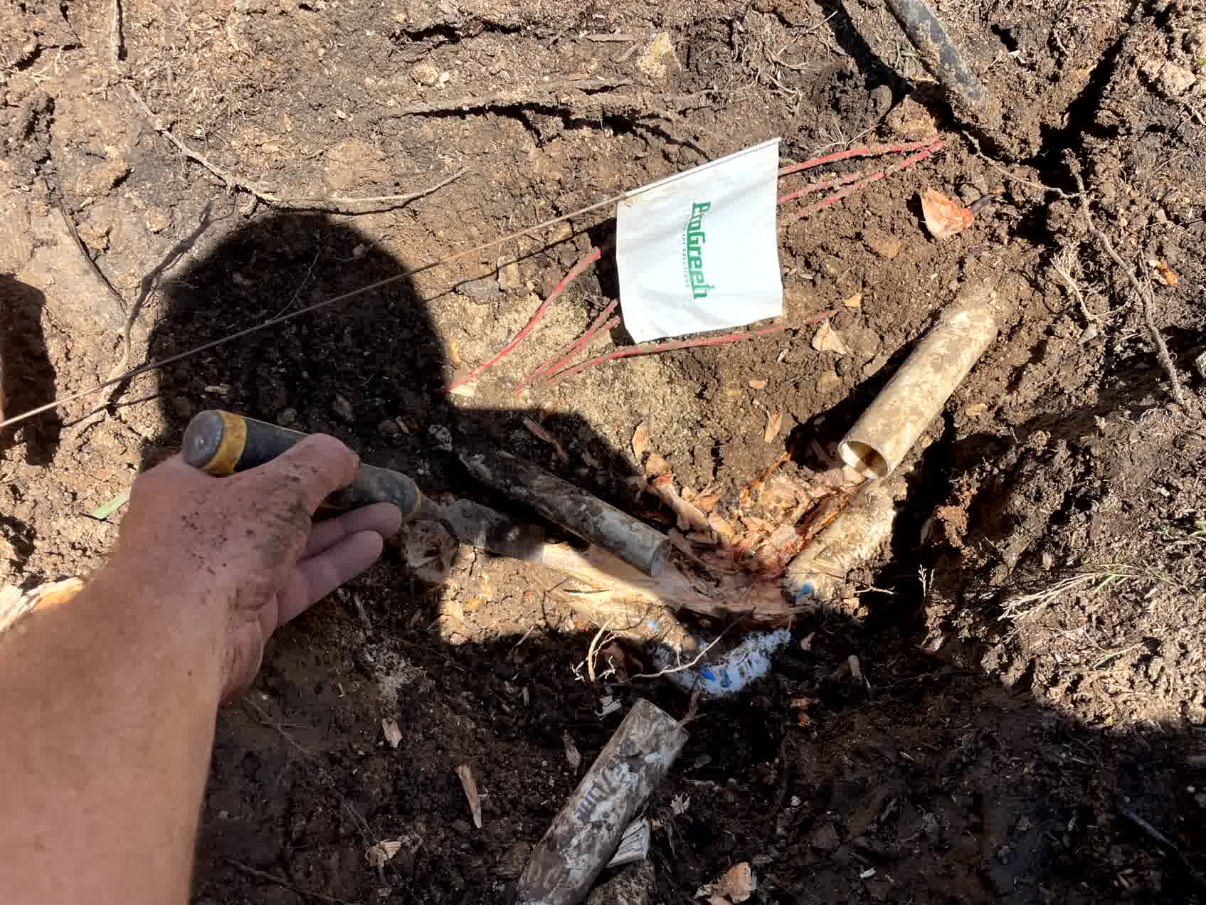 Exposed underground irrigation pipes showing damage from tree roots during sprinkler system repair work.