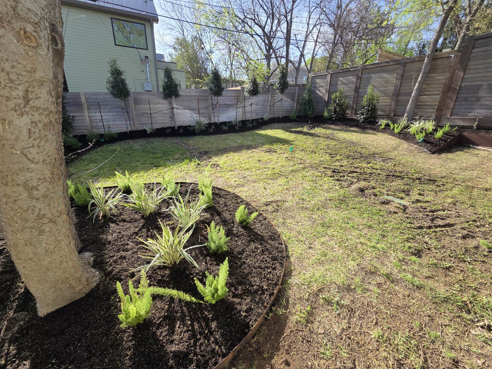 Backyard outdoor living space with mulch beds, young plants, and open lawn for relaxation and entertainment.