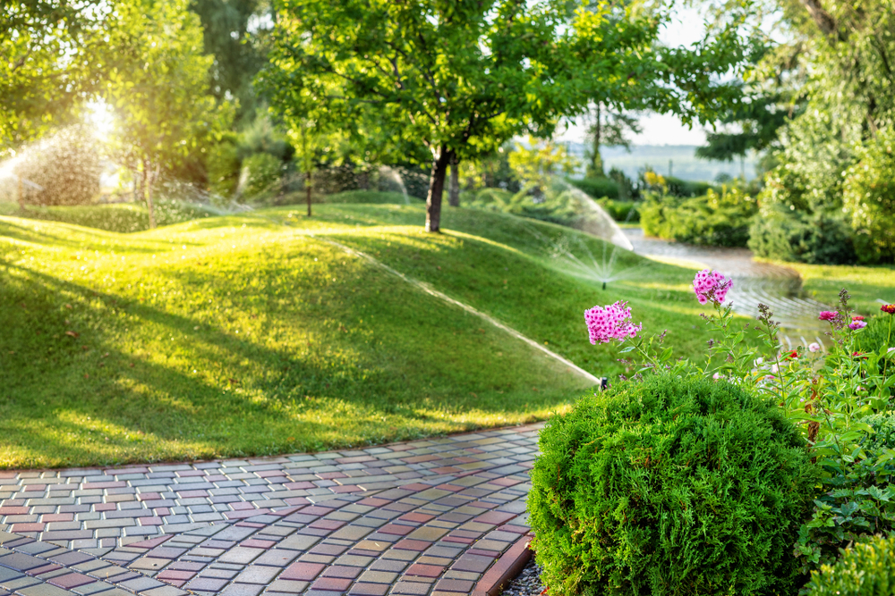 Summer Lawn Care: Tips For Healthy Grass During the Hot Season