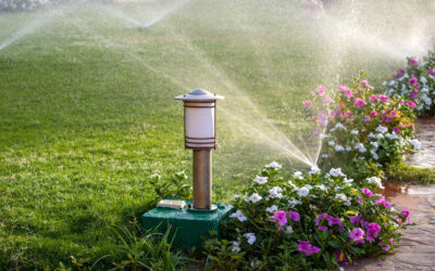 How to Prevent Water Waste in Your Irrigation System