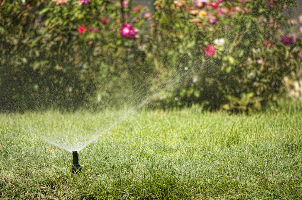 Drip irrigation is a highly efficient method of watering your plants, which is more accurate than traditional sprinklers; drip irrigation delivers water directly to the plant's root zone. Call Pro Green for your Dallas property to learn more!