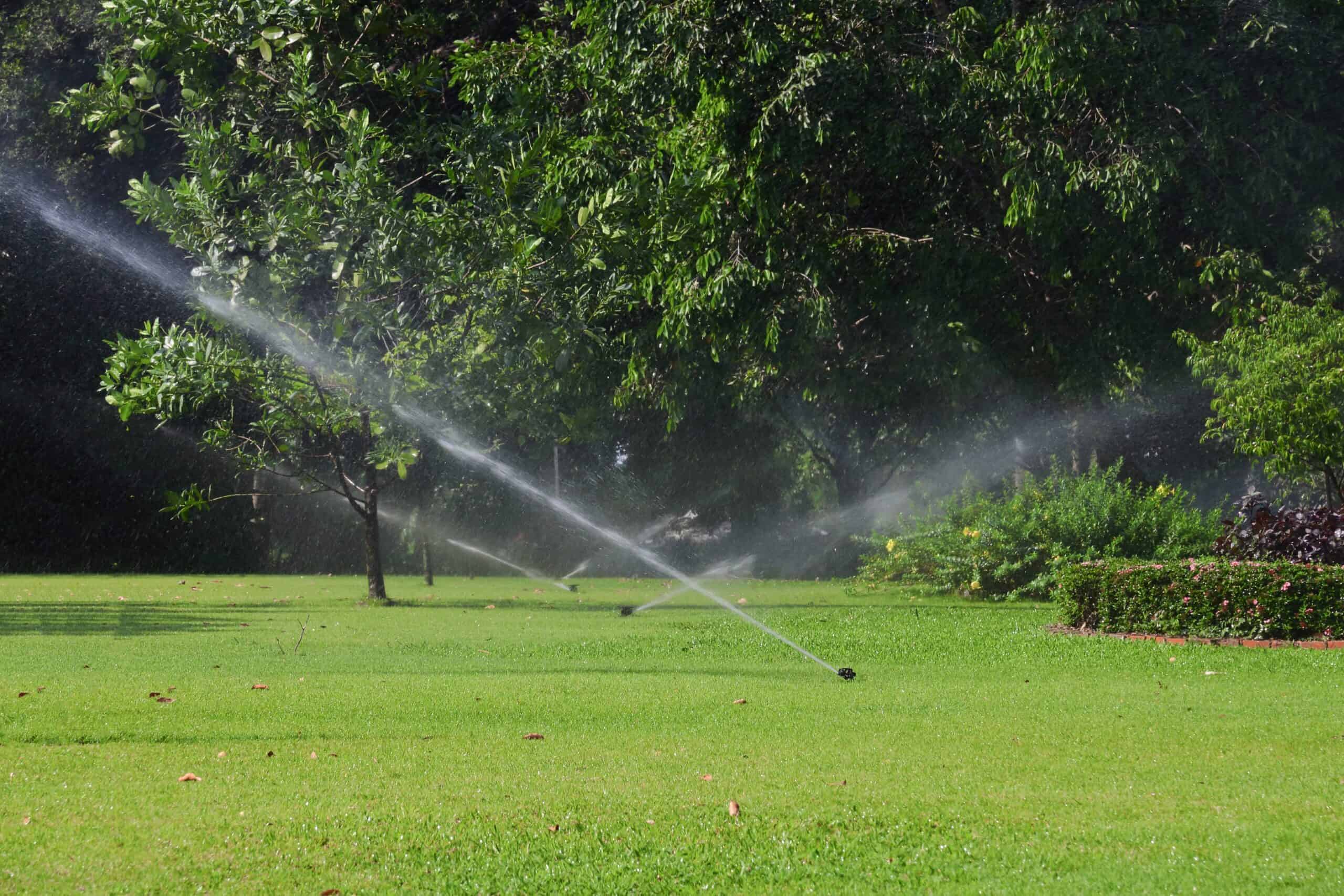 Three sprinklers spraying water in two directions on a freshly mowed lawn with mature trees