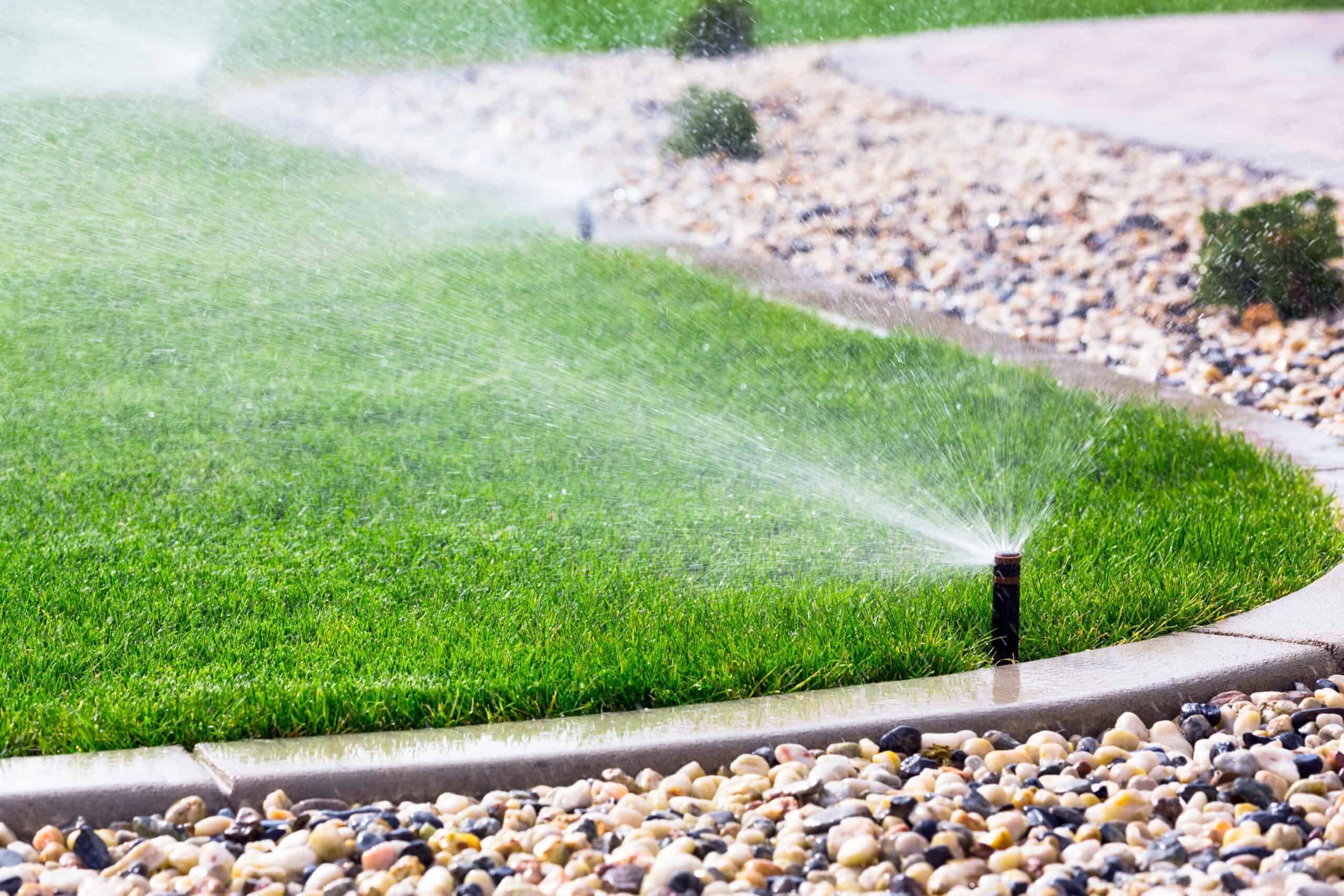 a sprinkler head spraying water over a lawn and river rocks