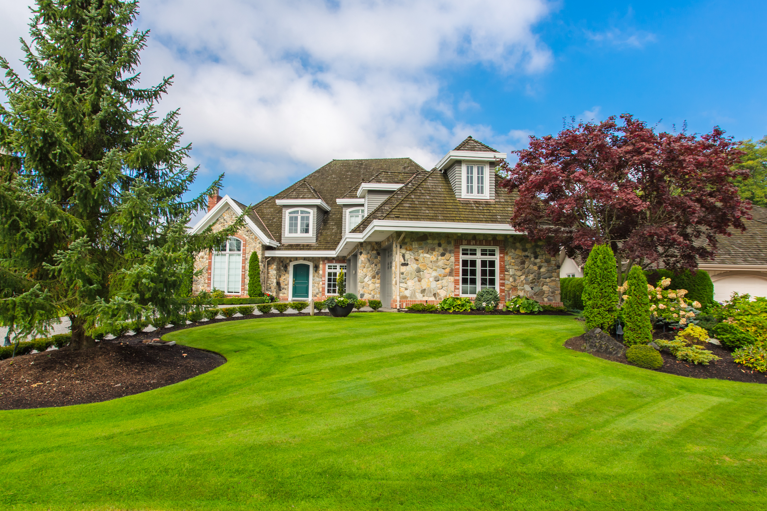 a large lawn with freshly mowed grass, lush landscaping, and trees