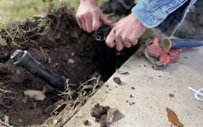 Impact of Climate on Irrigation in DFW