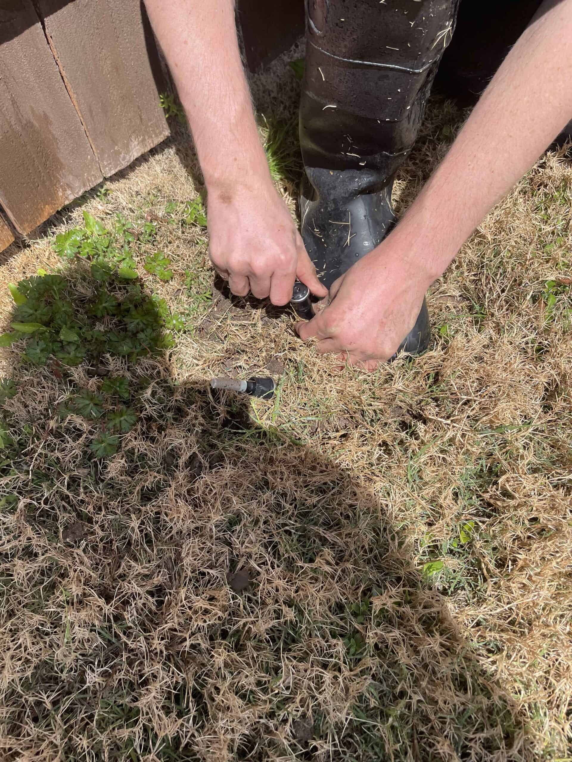 Schedule irrigation repair to ensure system efficiency