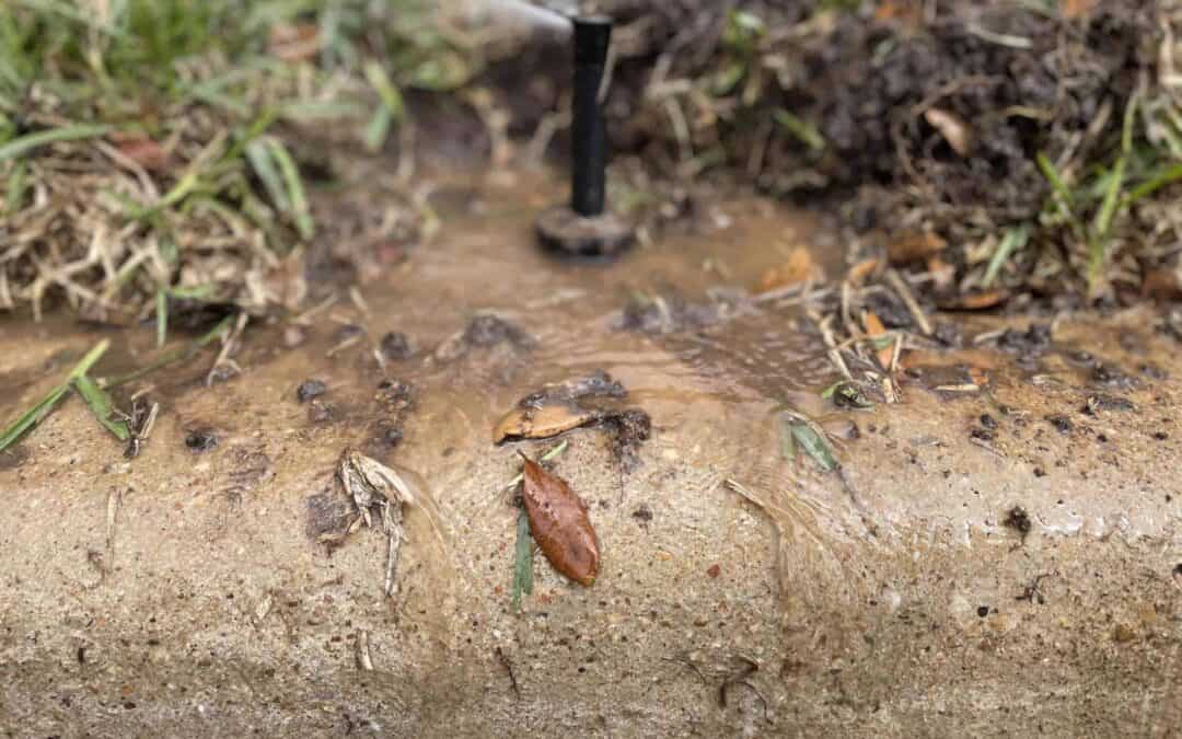 Common Issues Uncovered During Irrigation Inspections