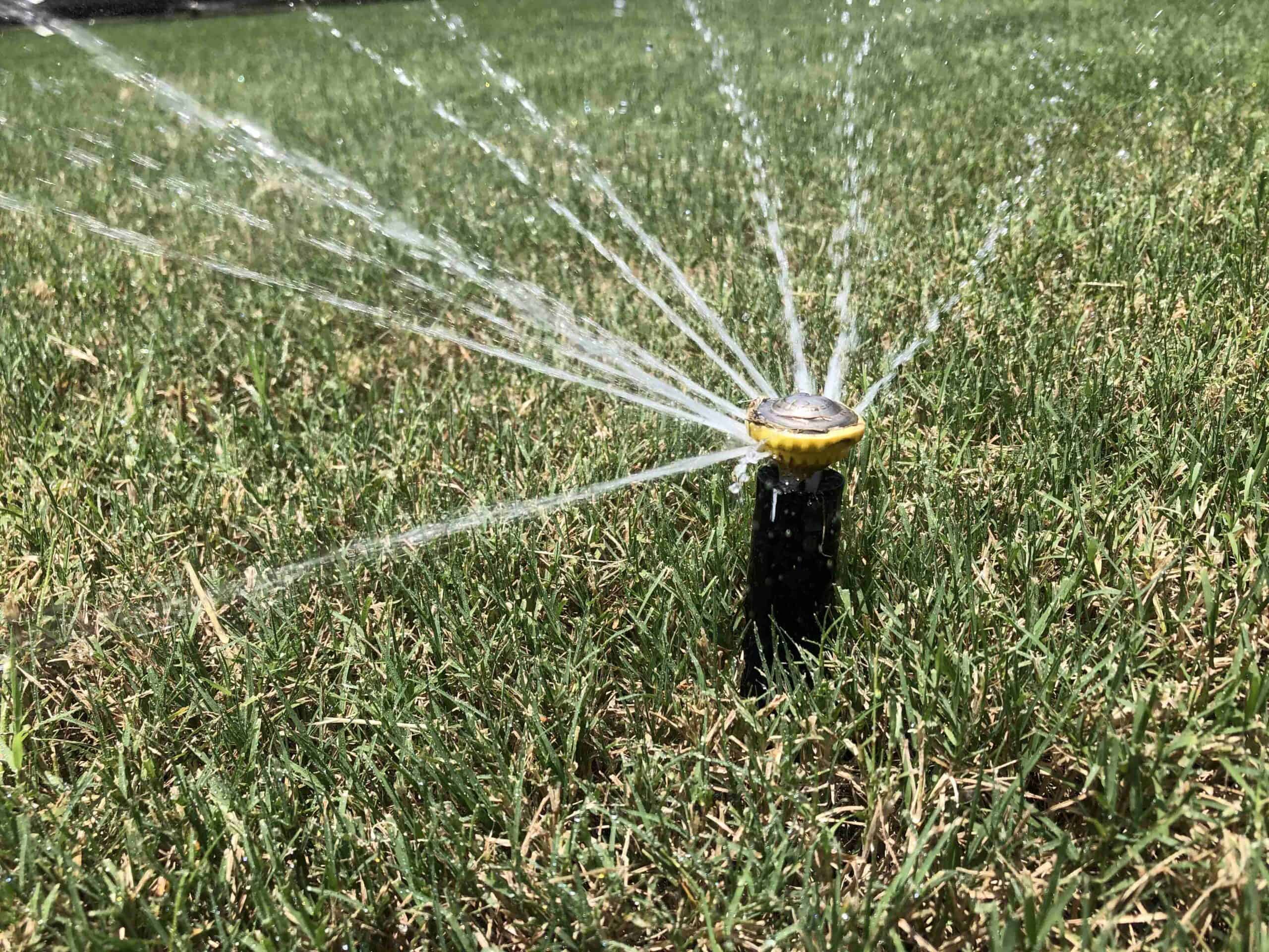 A sprinkler head working as it should after an expert repair.