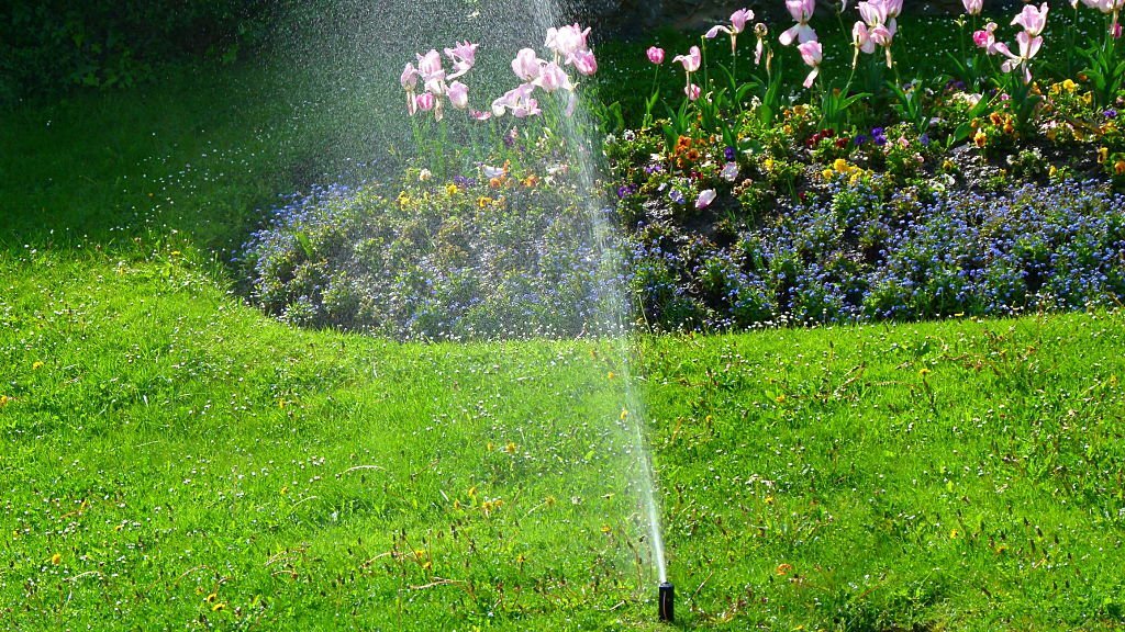 A lush green lawn from the help of a proper sprinkler system.