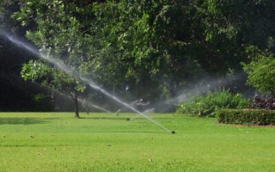 Essential Tips for Proper Sprinkler Care and Maintenance